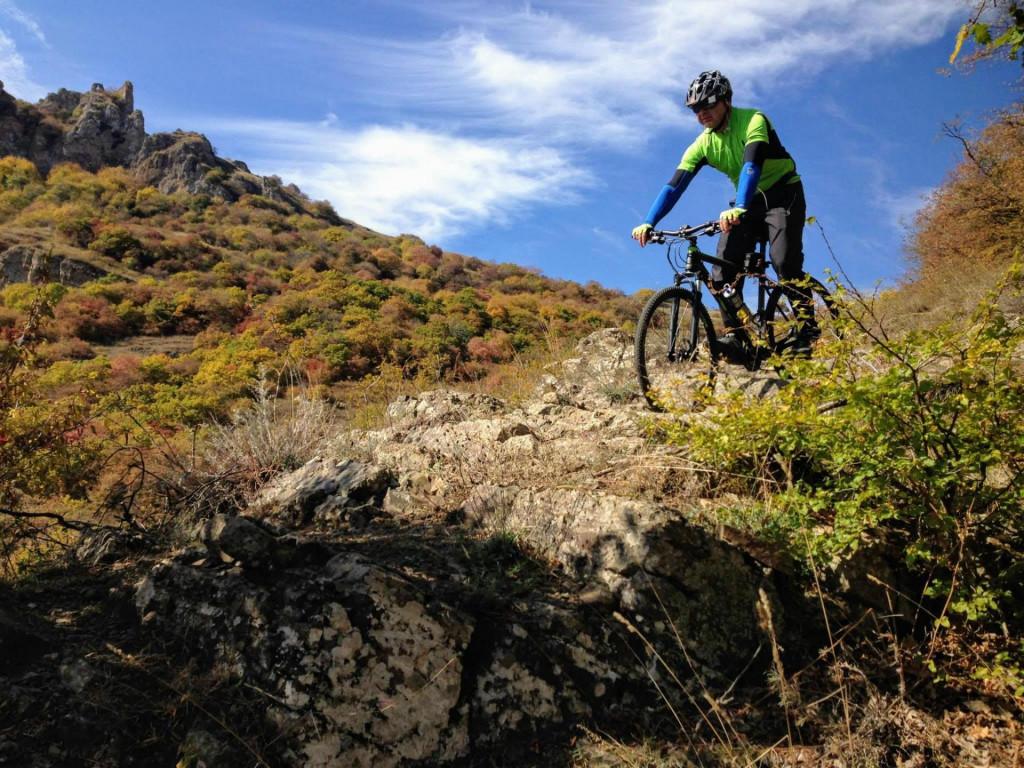 veloturi-kojori-borbalo4