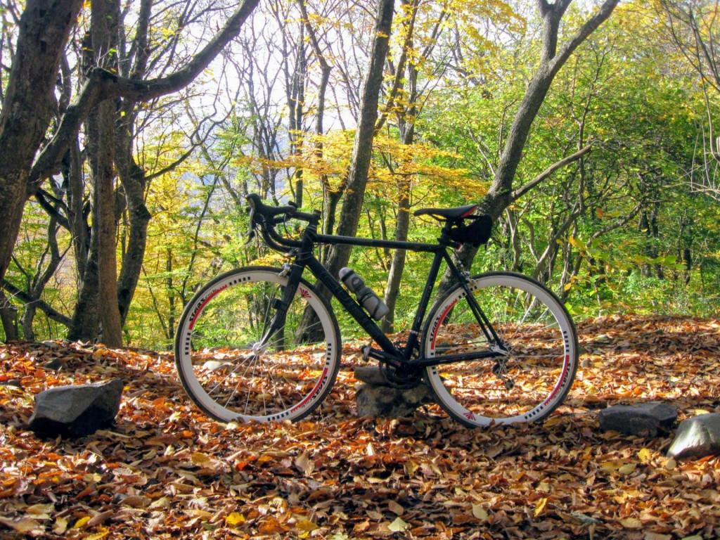 veloturi-norio-martkopi2