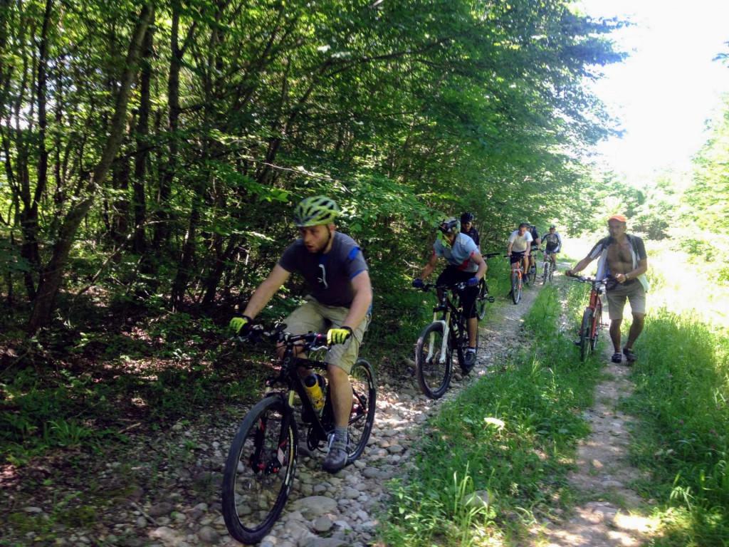 veloturi-tbilisis-erovnuli-parki