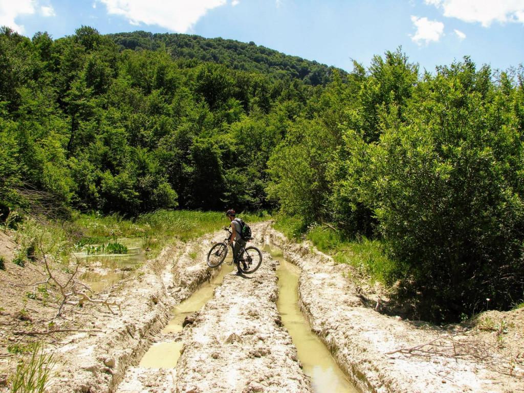 veloturi-tbilisis-erovnuli-parki