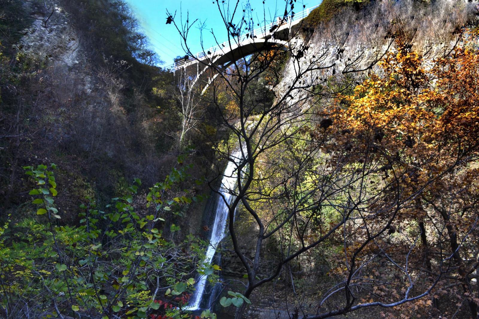 Waterfall in botanical garden