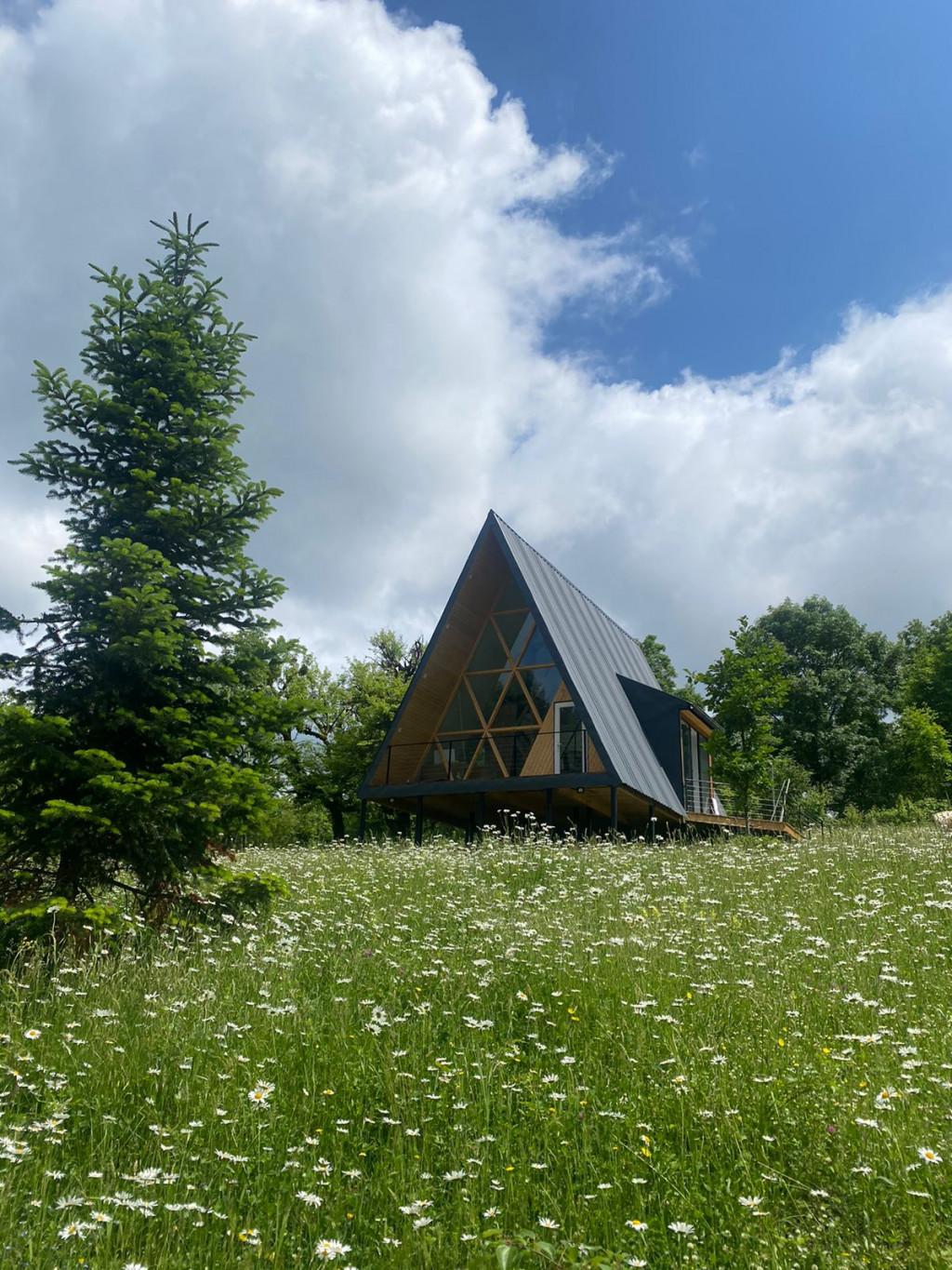 კოტეჯი აბიესი რაჭაში