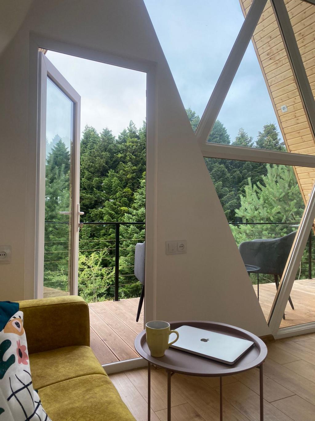 კოტეჯი აბიესი რაჭაში