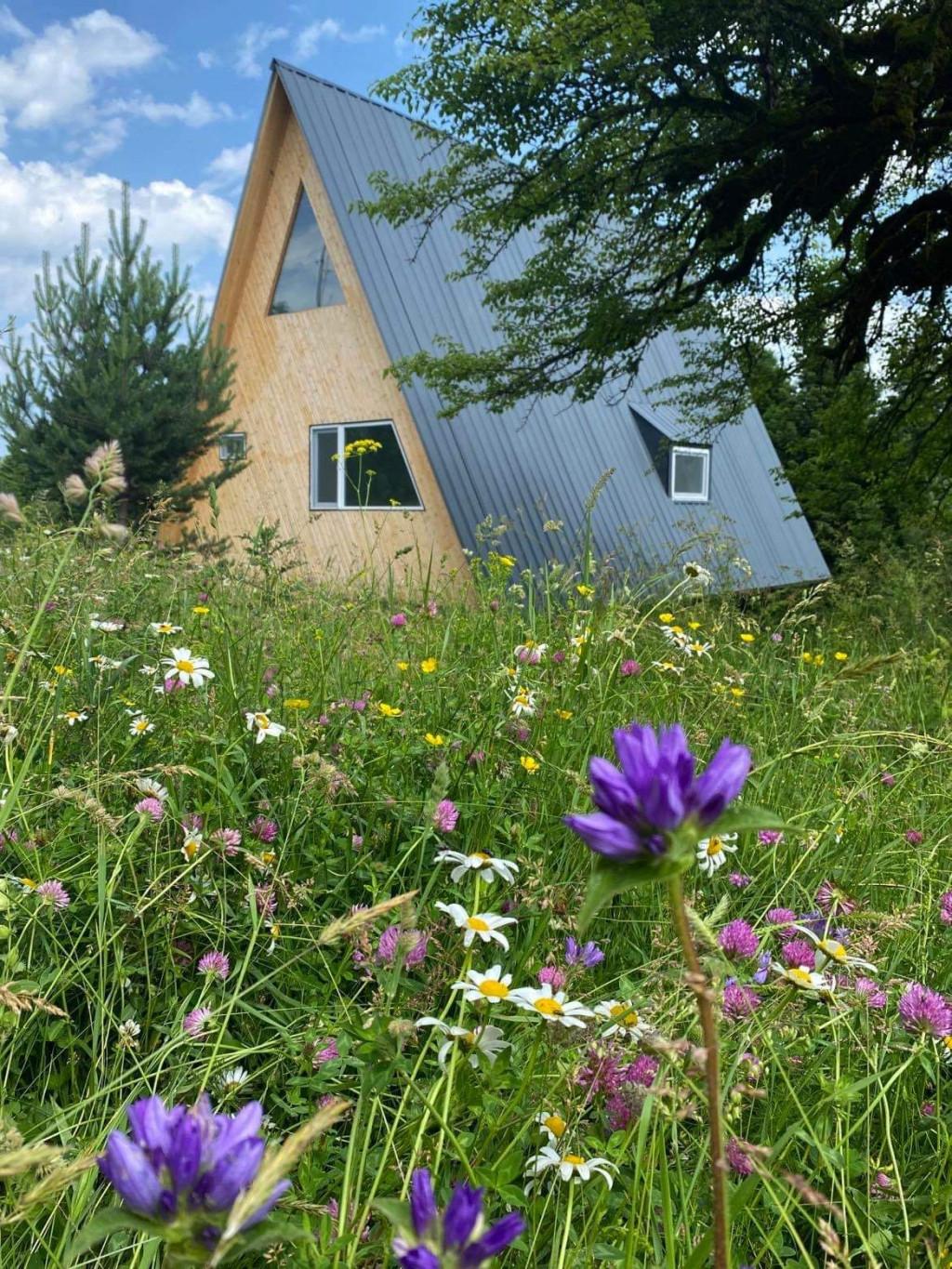 კოტეჯი აბიესი რაჭაში