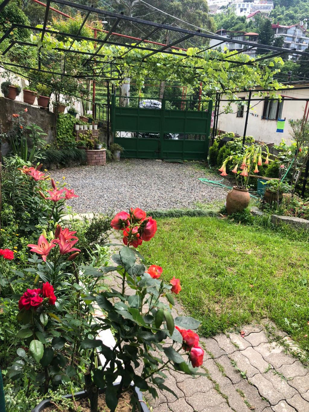 ჰოლიდეი გონიო