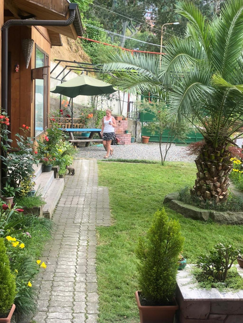 ჰოლიდეი გონიო