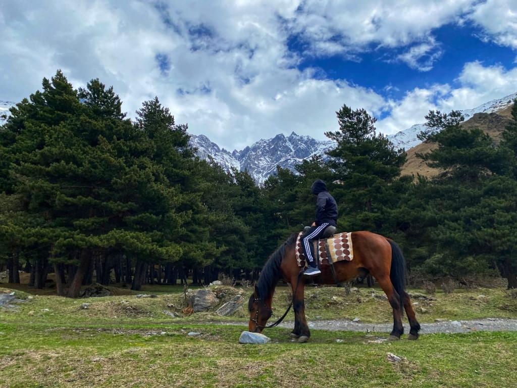 ცხენტური ყაზბეგში