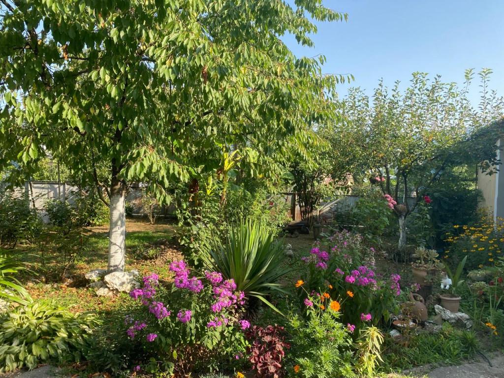 საოჯახო სასტუმრო ჭალისთავი