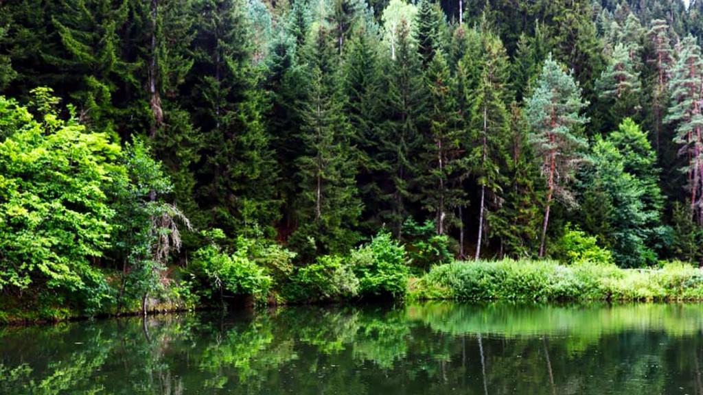 EIKON APARTMENTS ABASTUMANI