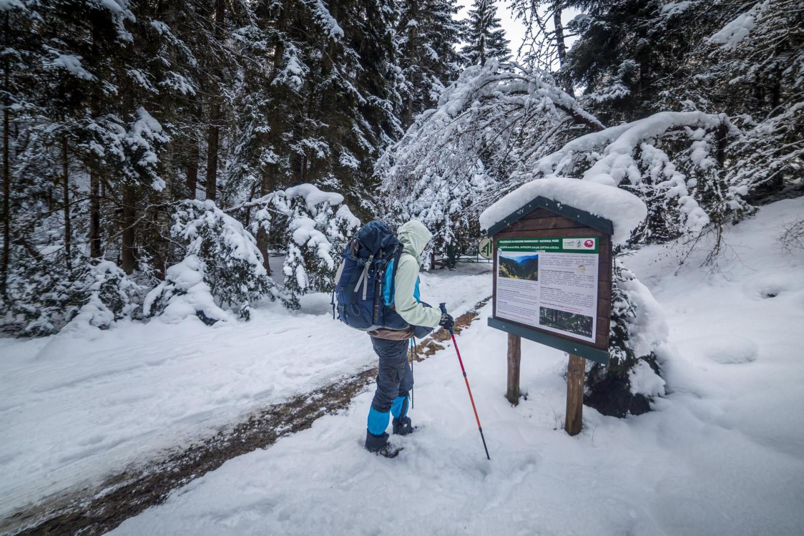 borjom-kharagauli national park